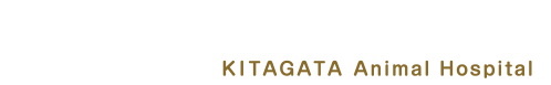 KITAGATA Animal Hospital
